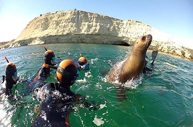 Snorkeling con Lobos Marinos