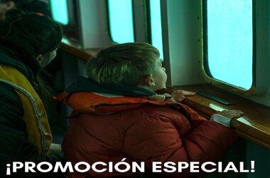 PROMO ESPECIAL *Puerto Piramides con Avistaje Submarino*
